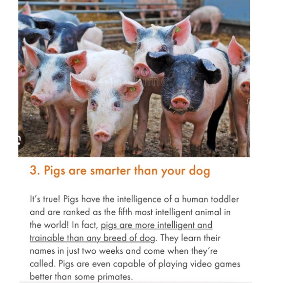 #4 LIKE LISTING #5 Comments Full - Picture 13 of 16